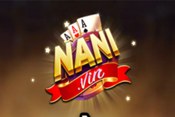Nani Vin – Những trò chơi có thể kiếm tiền đưa yêu thích nhất mọi thời đại